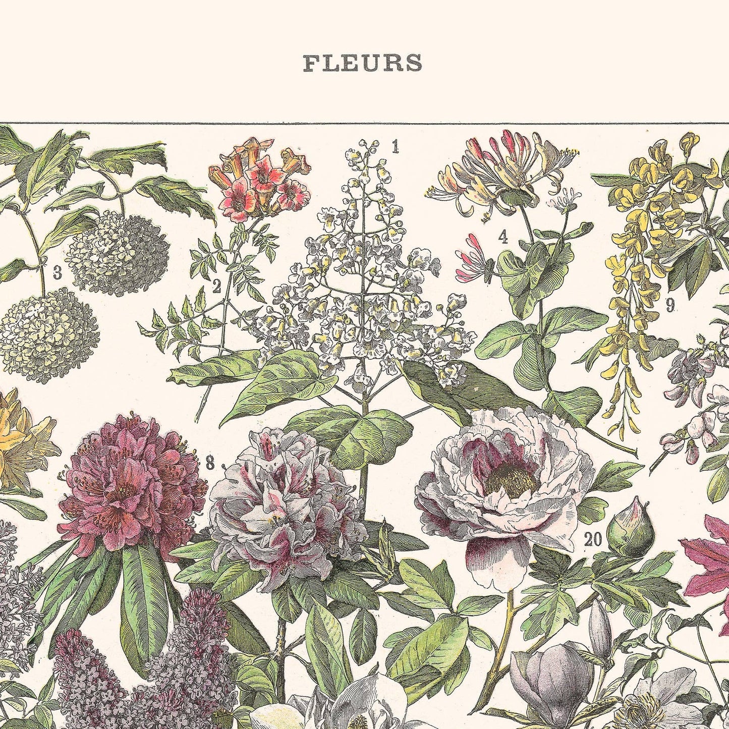 L'Affiche Les Fleurs 2 Les Choses qu'on Aime Haut de page