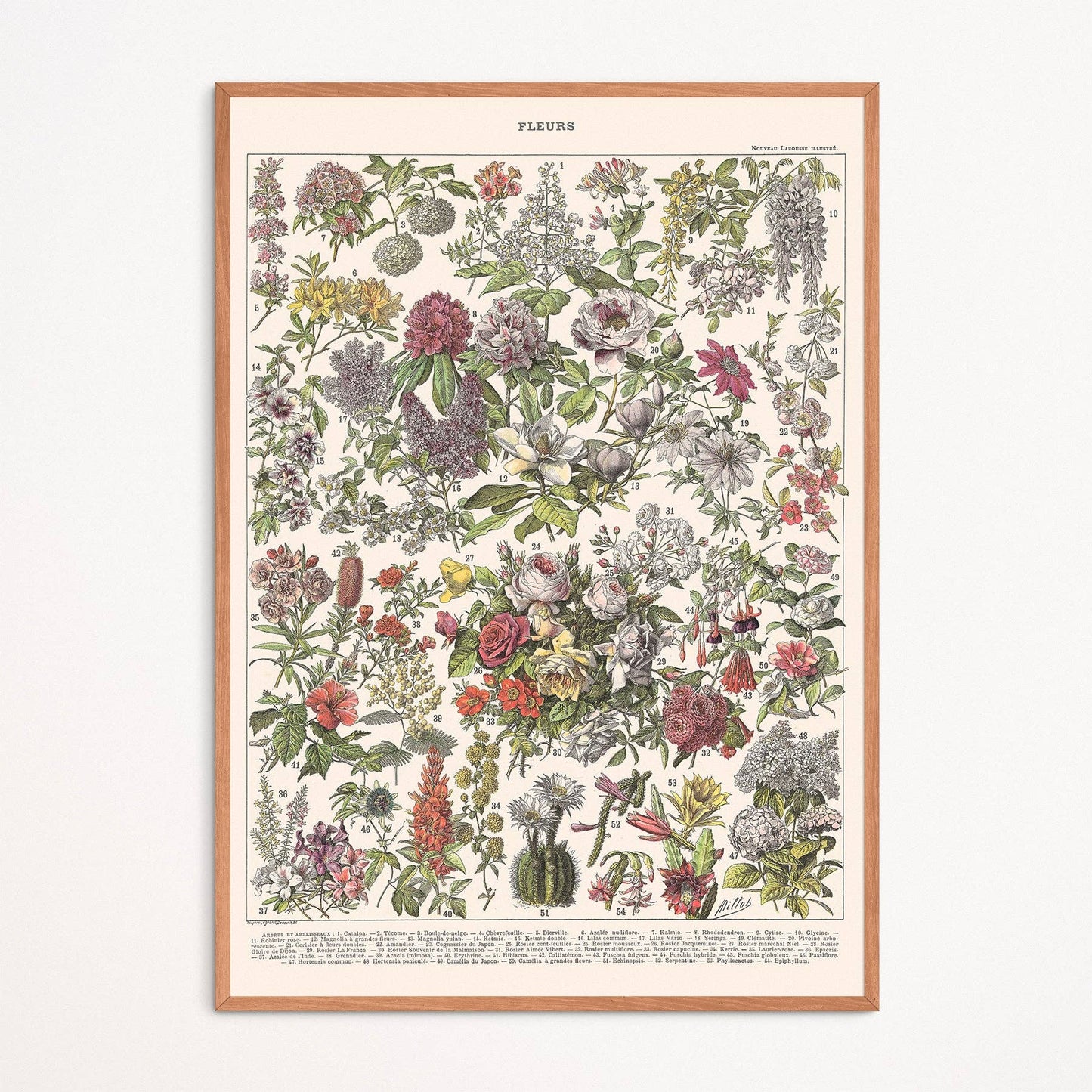 L'Affiche Les Fleurs 2 Les Choses qu'on Aime Encadrée