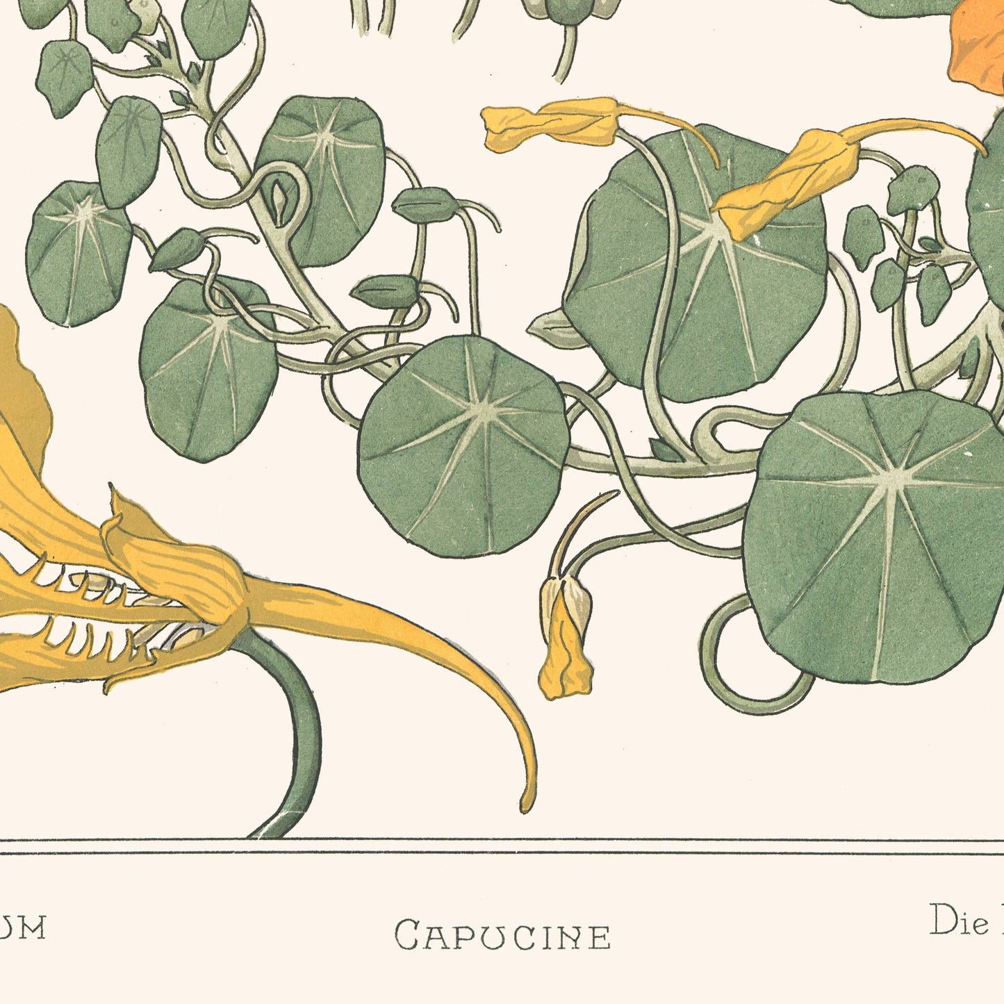 L'affiche Les Capucines Les Choses qu'on Aime titre