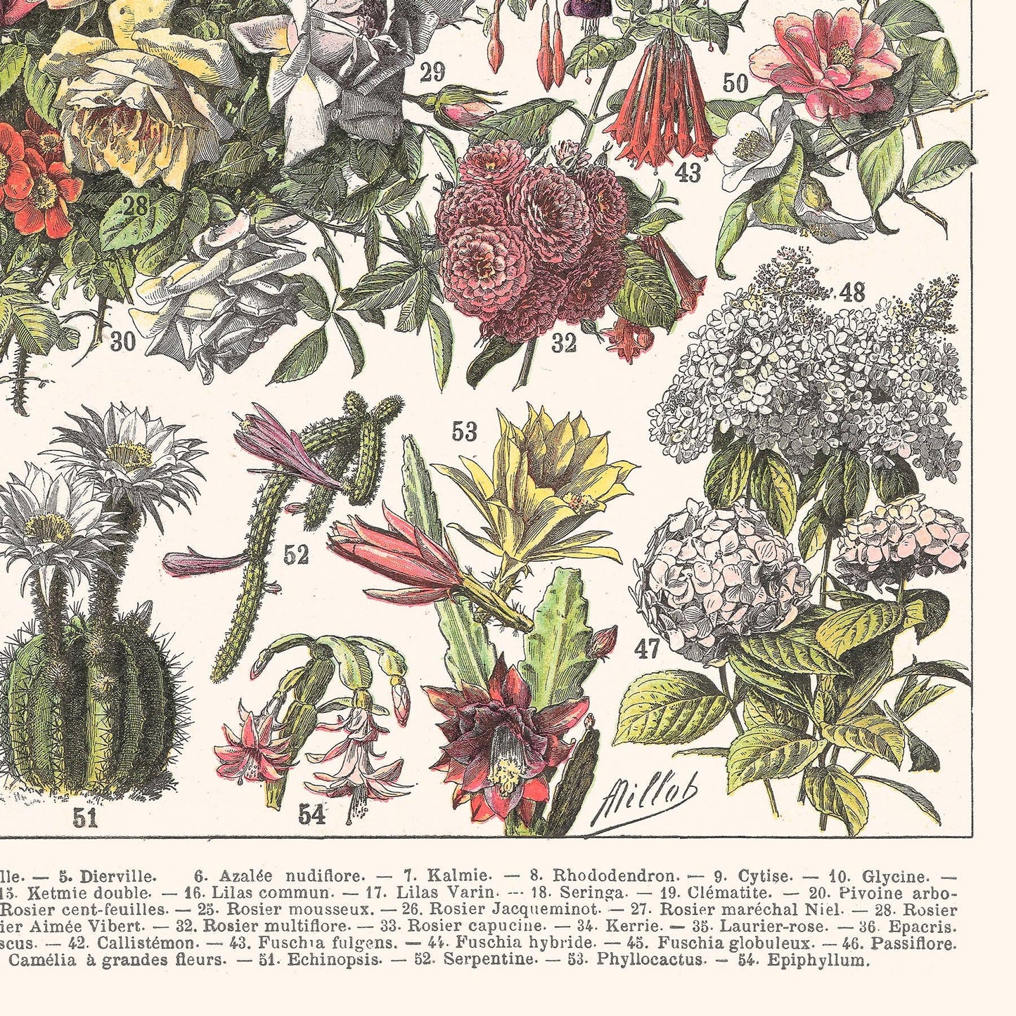 L'Affiche Les Fleurs 2 Les Choses qu'on Aime bas de page