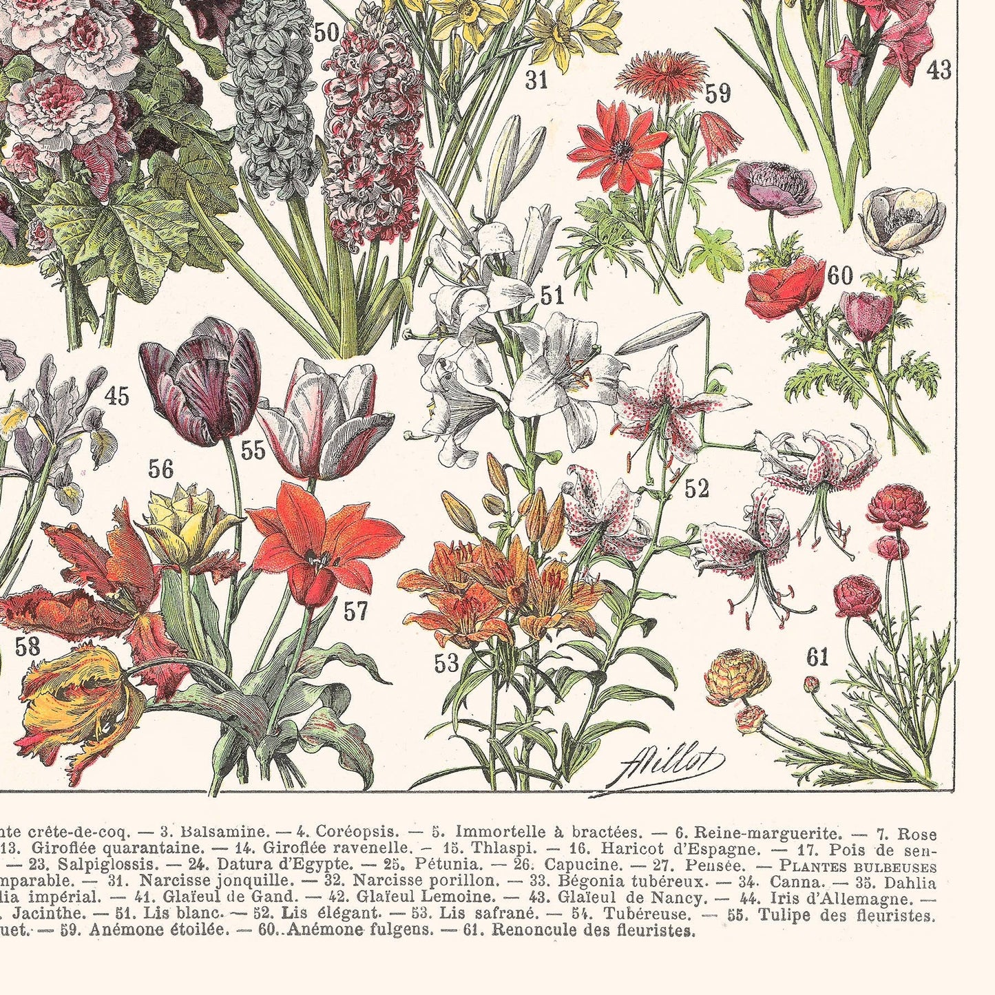L'Affiche Les Fleurs 1 Les Choses qu'on Aime Bas de page