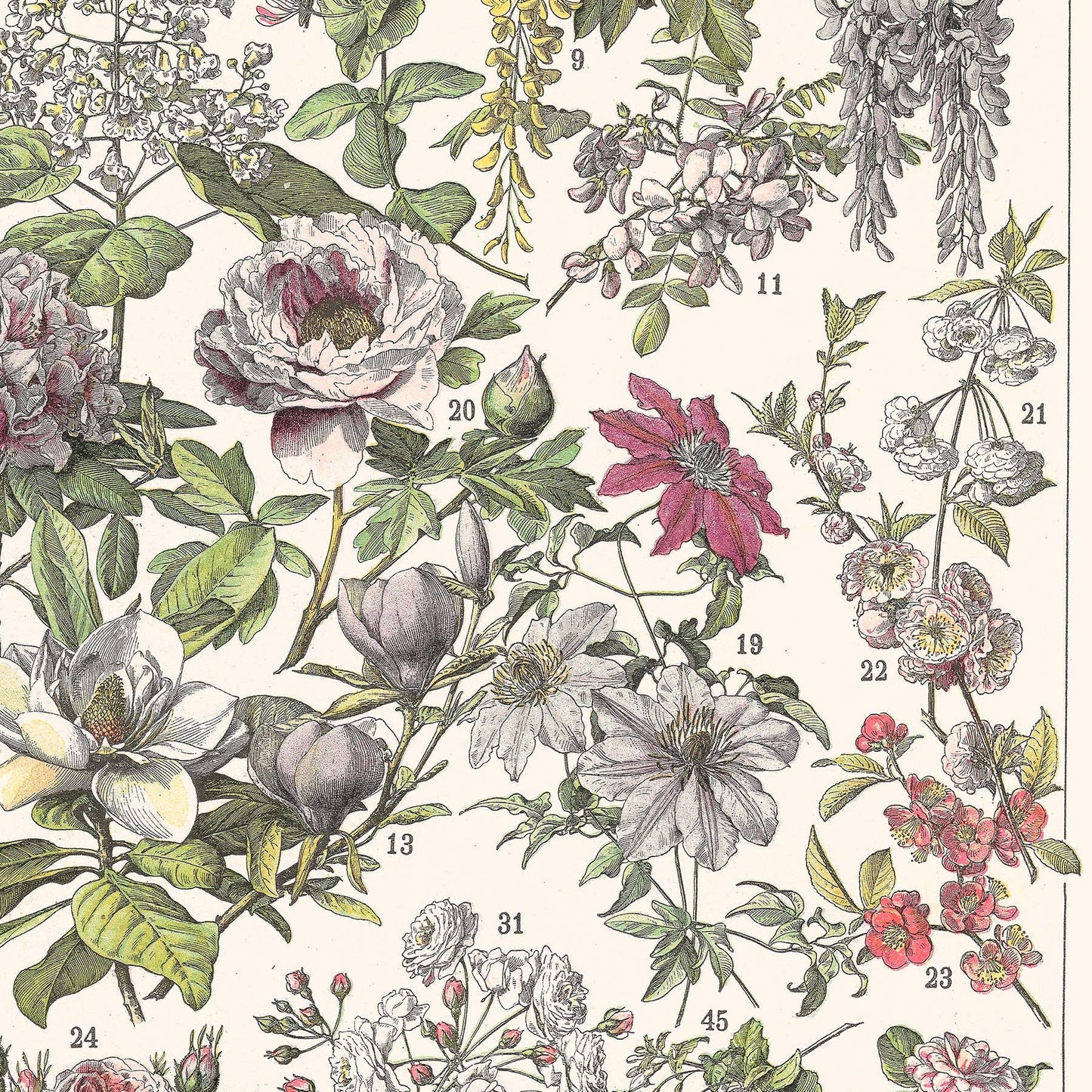 L'Affiche Les Fleurs 2 Les Choses qu'on Aime gp