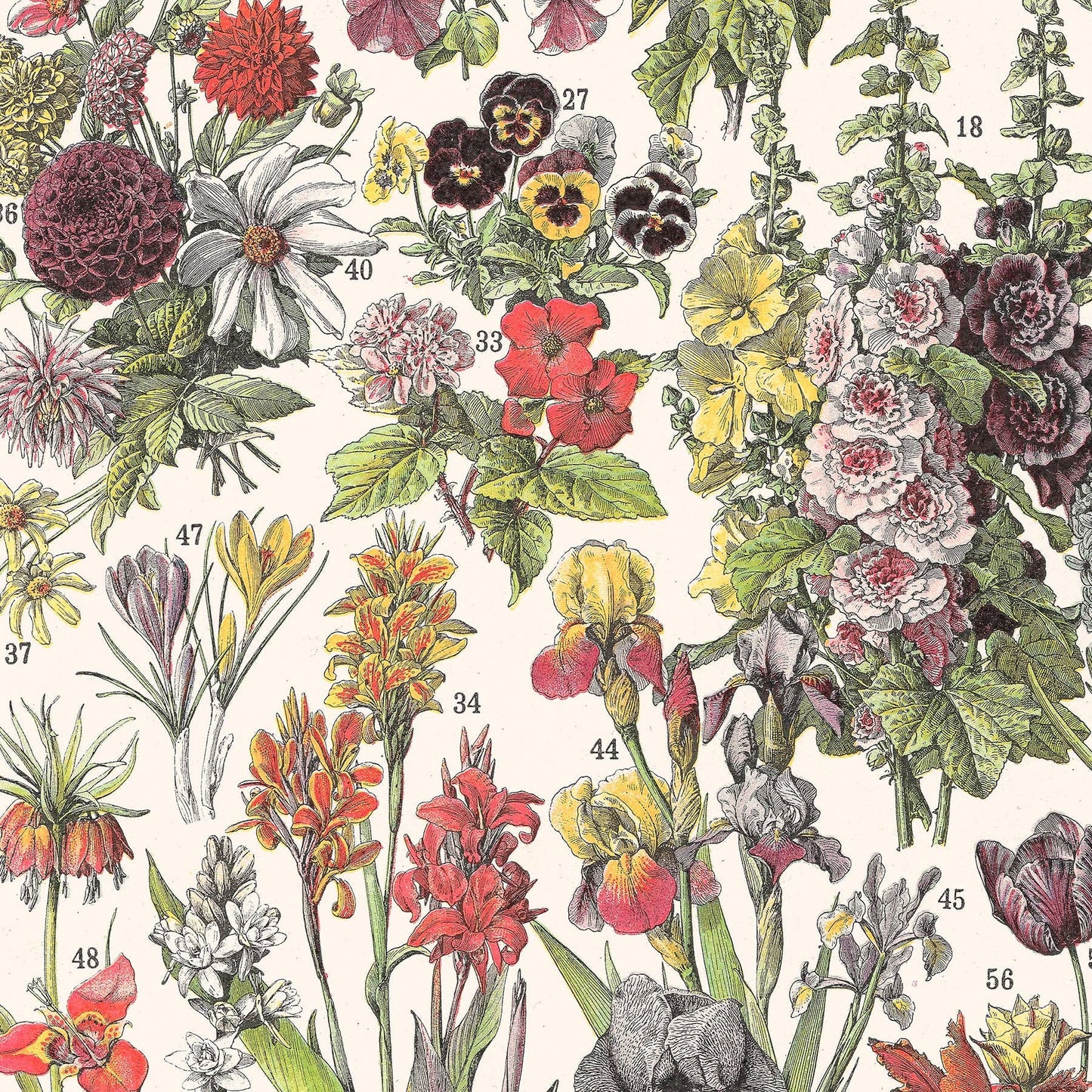 L'Affiche Les Fleurs 1 Les Choses qu'on Aime gp