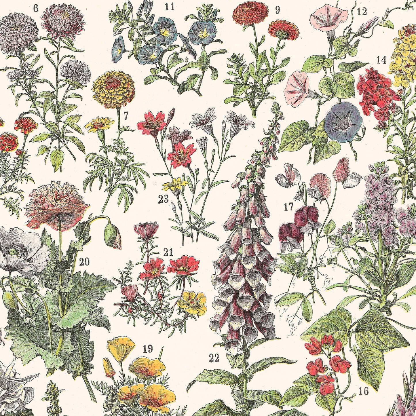 L'Affiche Les Fleurs 1 Les Choses qu'on Aime détail