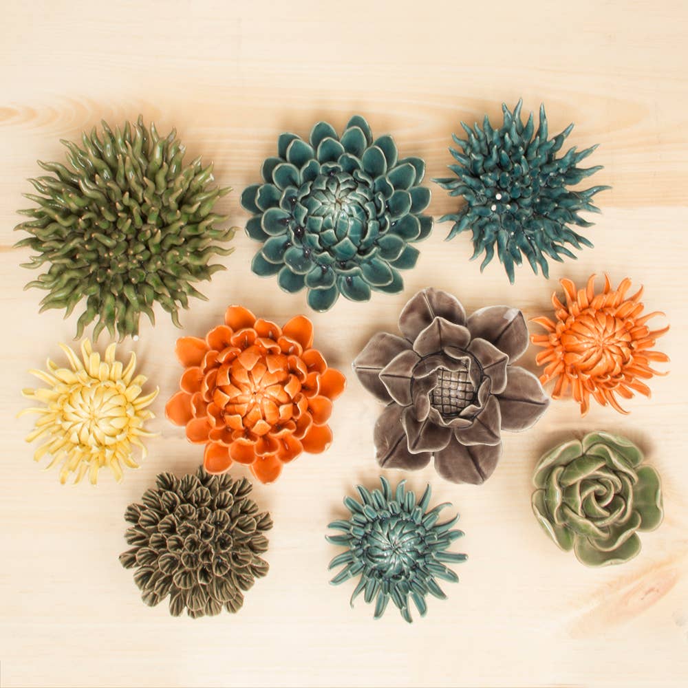 La Plante Aquatique Les Choses qu'on Aime Ensemble 2