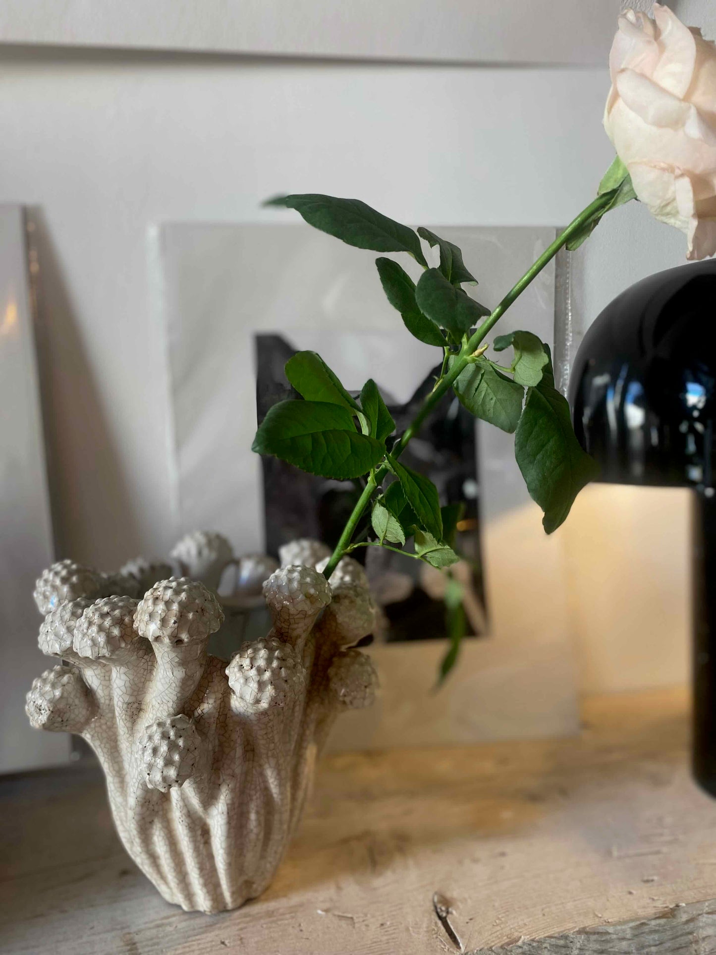 Le Vase Funghi Champignon Les Choses qu'on Aime