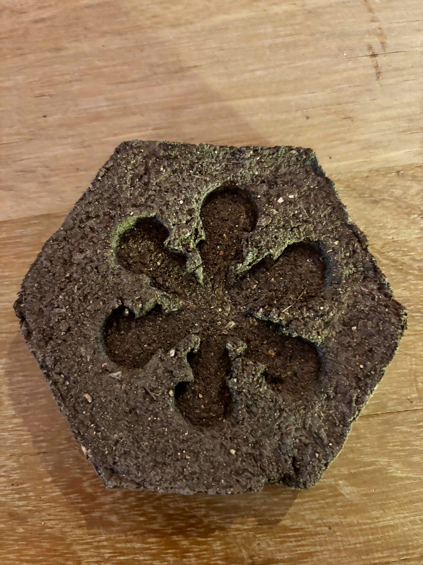 La Tomette à planter Les Choses qu'on Aime