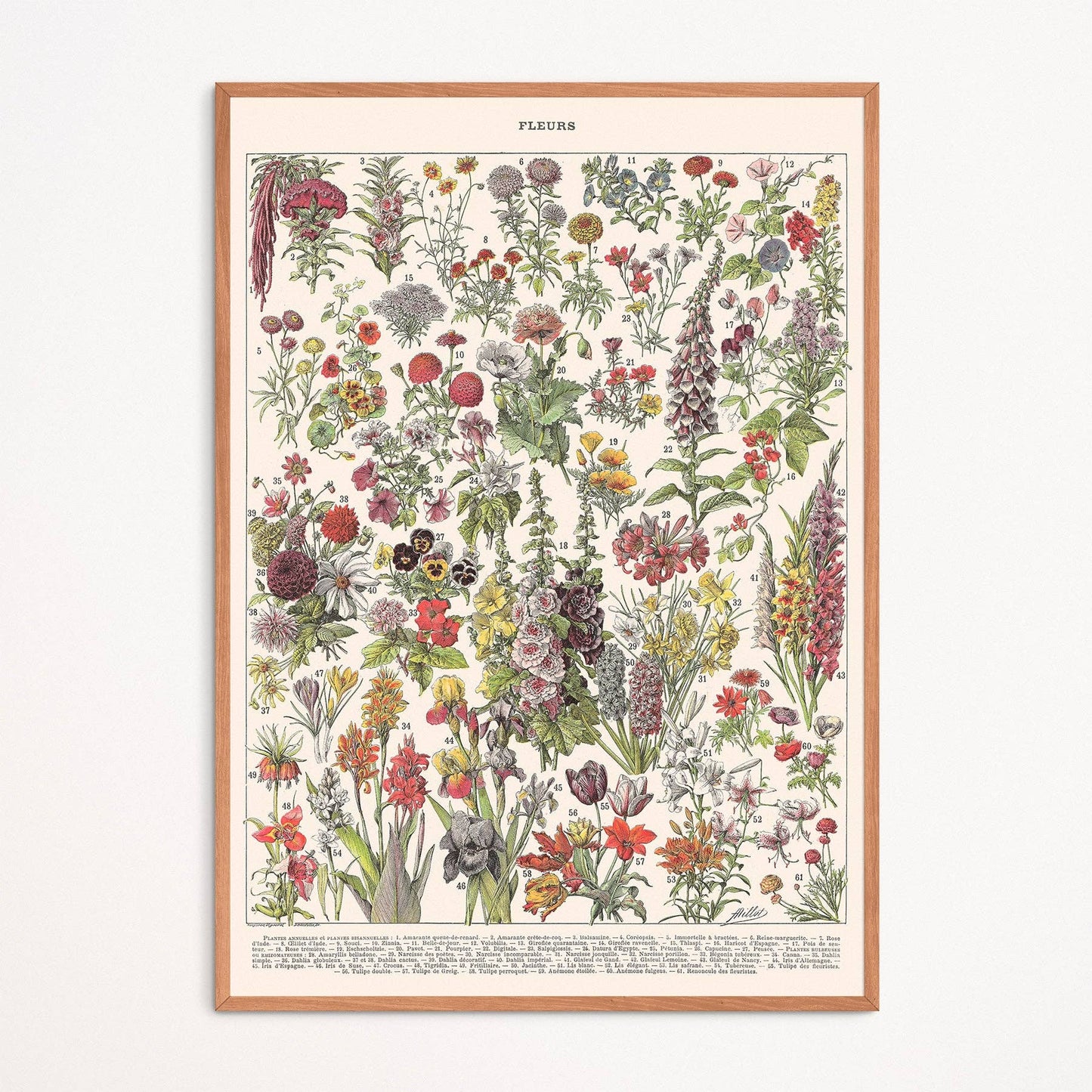 L'Affiche Les Fleurs 1 Les Choses qu'on Aime Encadrée
