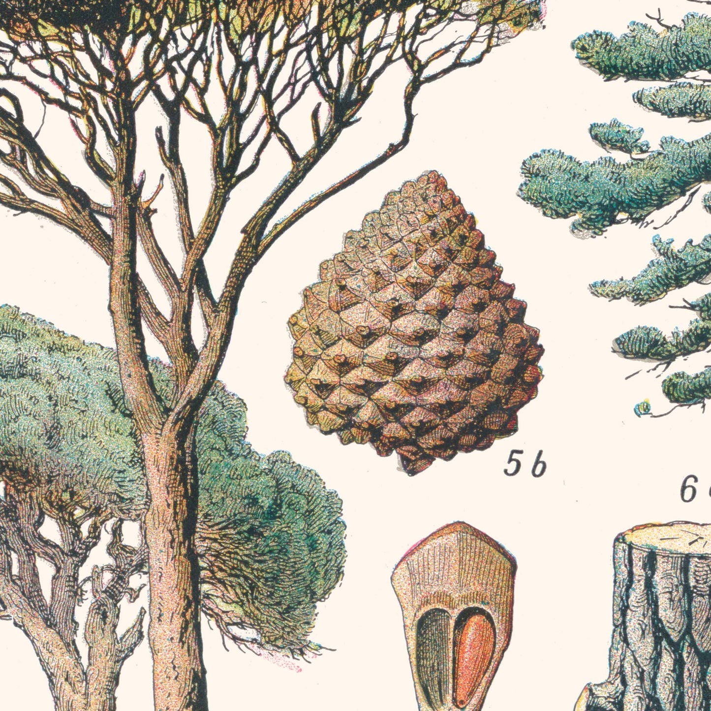 L'Affiche Les Arbres de la Forêt Les Choses qu'on Aime GP