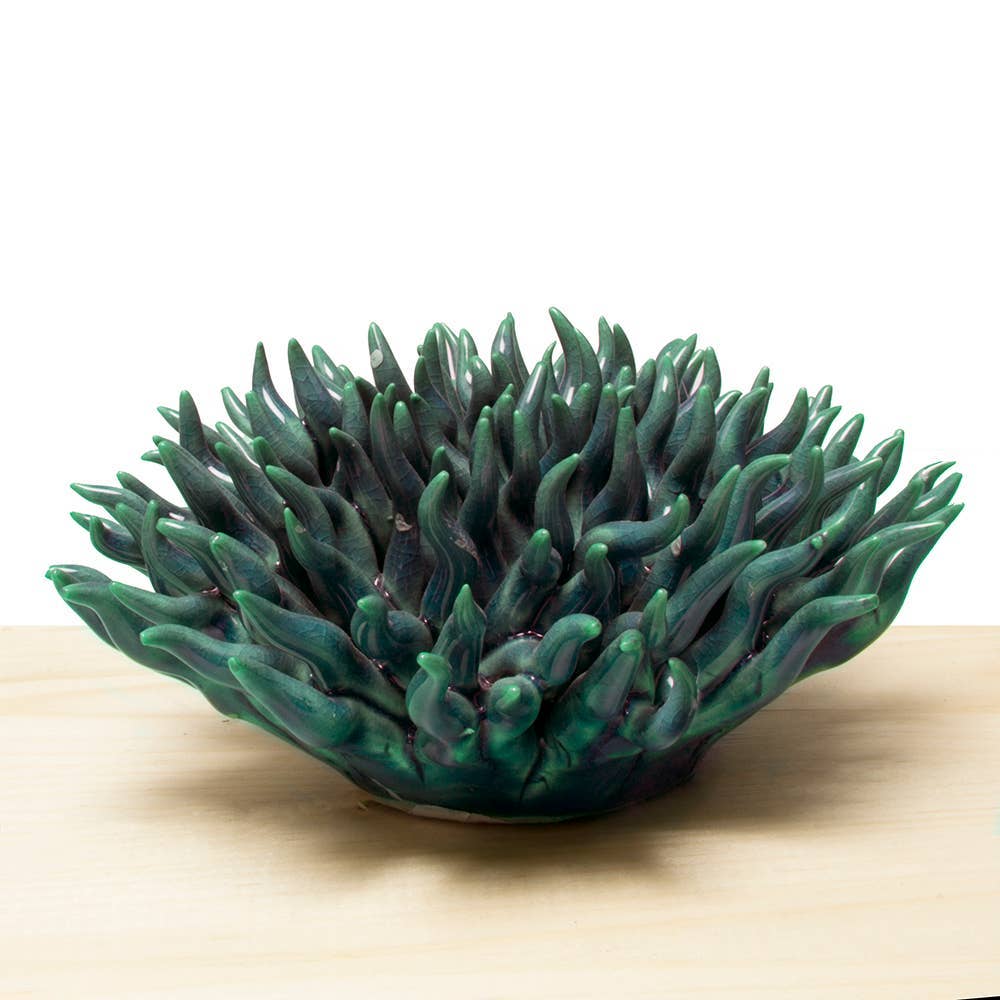 La Plante Aquatique Les Choses qu'on Aime Sarcelle Mondo