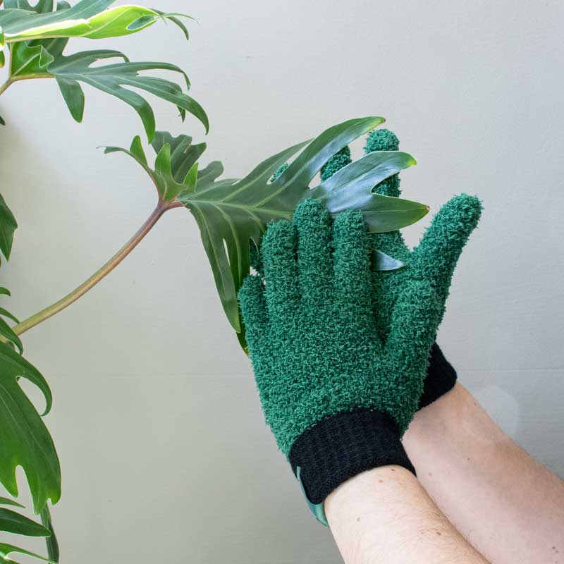 Les Gants Mains Vertes Les Choses qu'on Aime 5