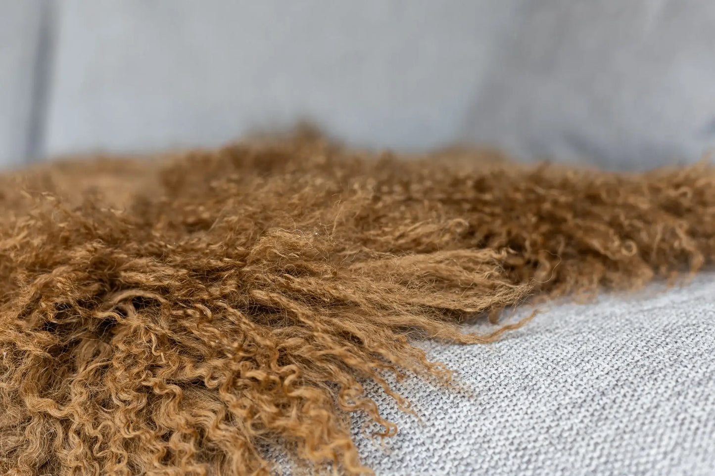 Tapis en peau de mouton bouclée tibétaine | 14 styles teints | env. 100 cm: Mint