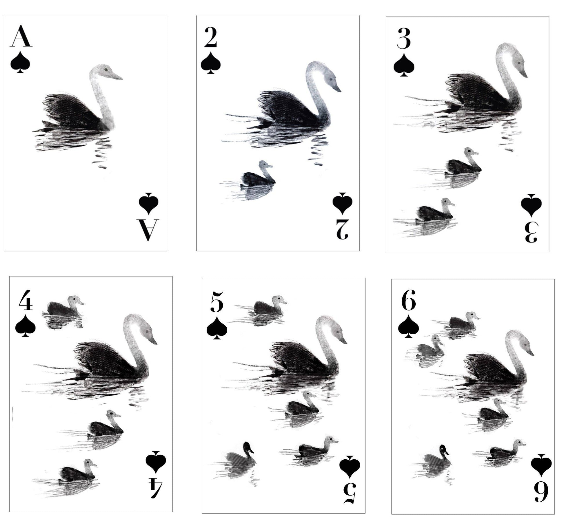 Le Jeu de cartes Oiseaux fantaisie Les Choses qu'on Aime
