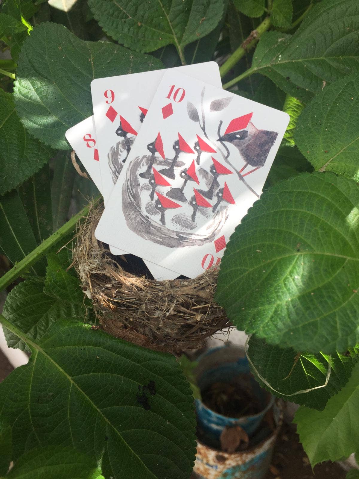 Le Jeu de cartes Oiseaux drôle Les Choses qu'on Aime