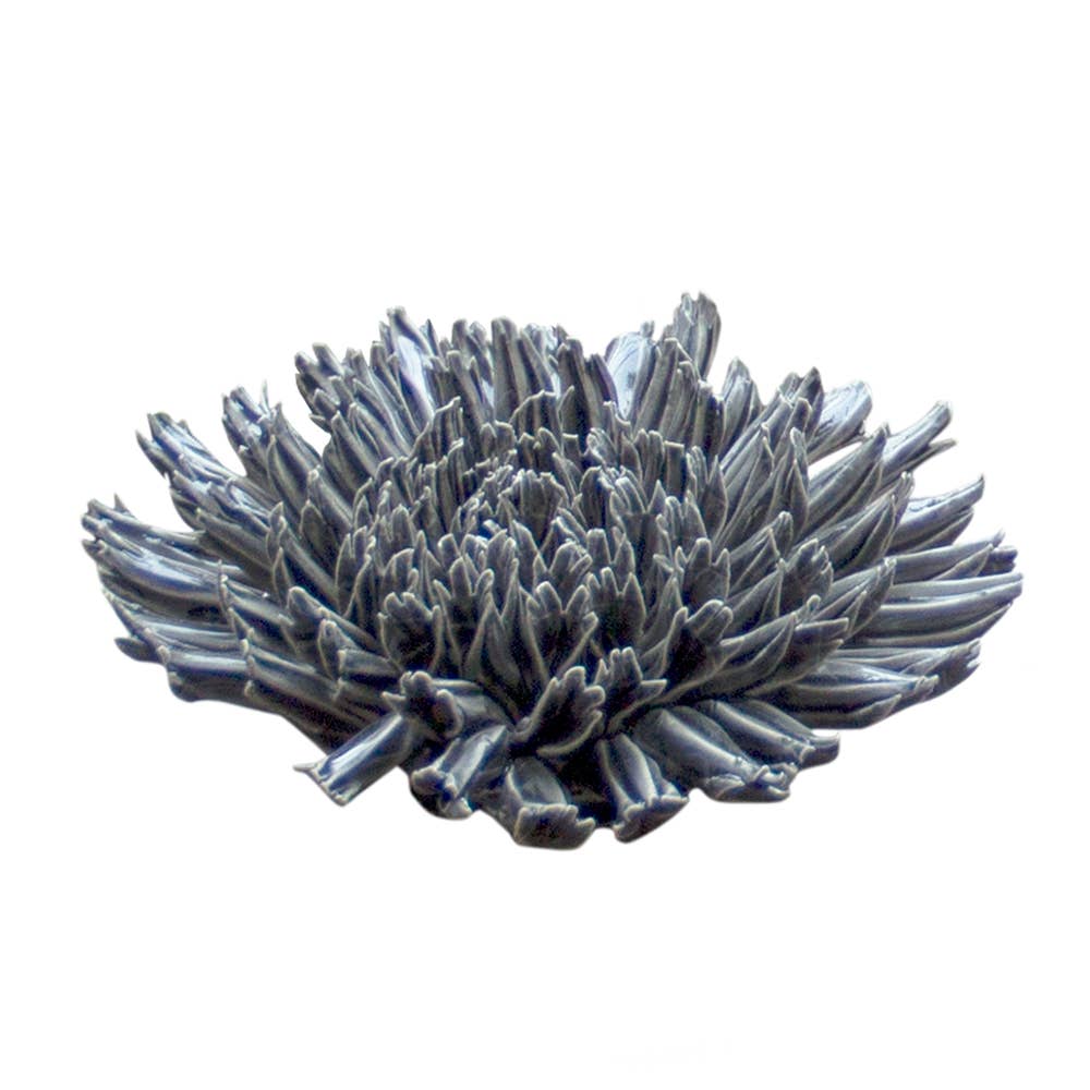 La Plante Aquatique Les Choses qu'on Aime Noir Fractal