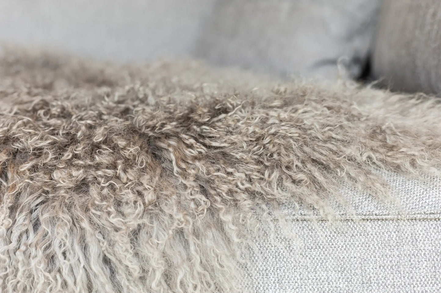 Tapis en peau de mouton bouclée tibétaine | 14 styles teints | env. 100 cm: Mint