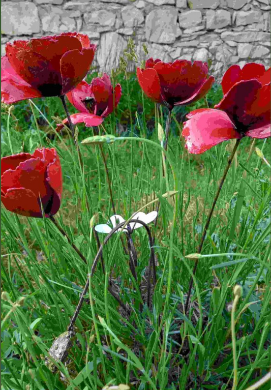 Le Tuteur Coquelicot en Métal Recyclé Les Choses qu'on Aiime