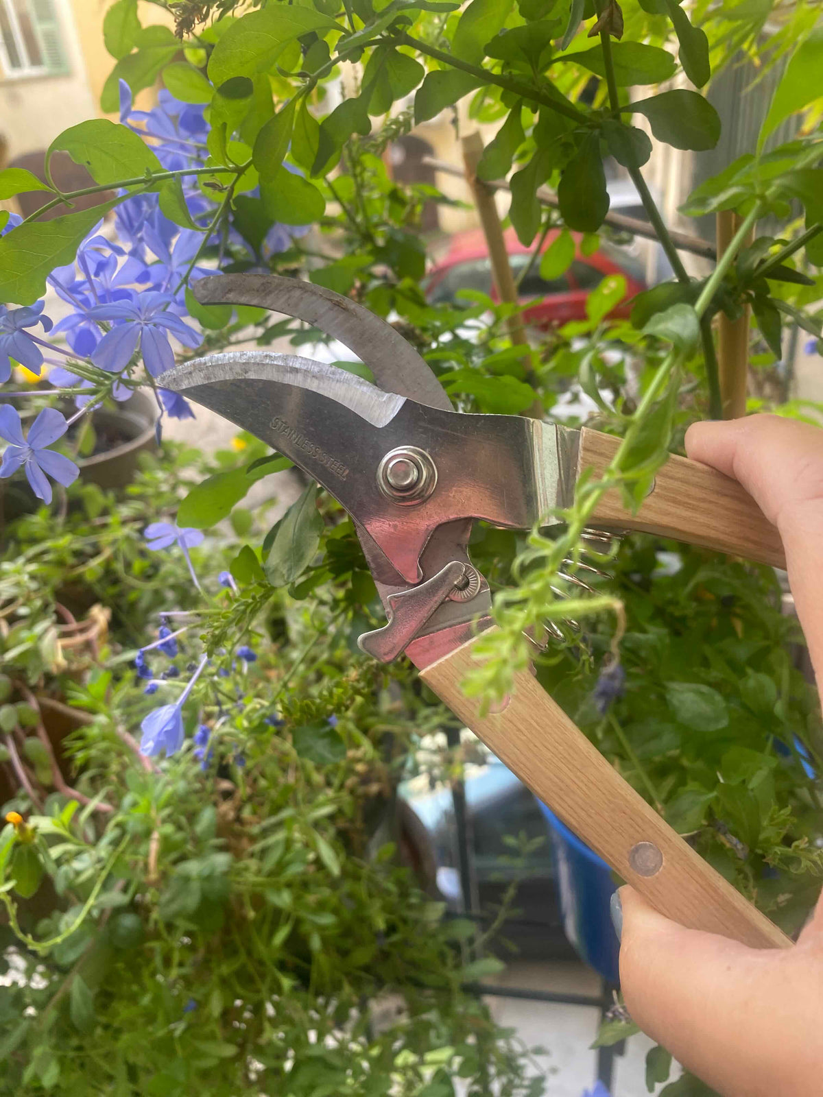 Le Sécateur en bois et Acier Les Choses qu'on Aime