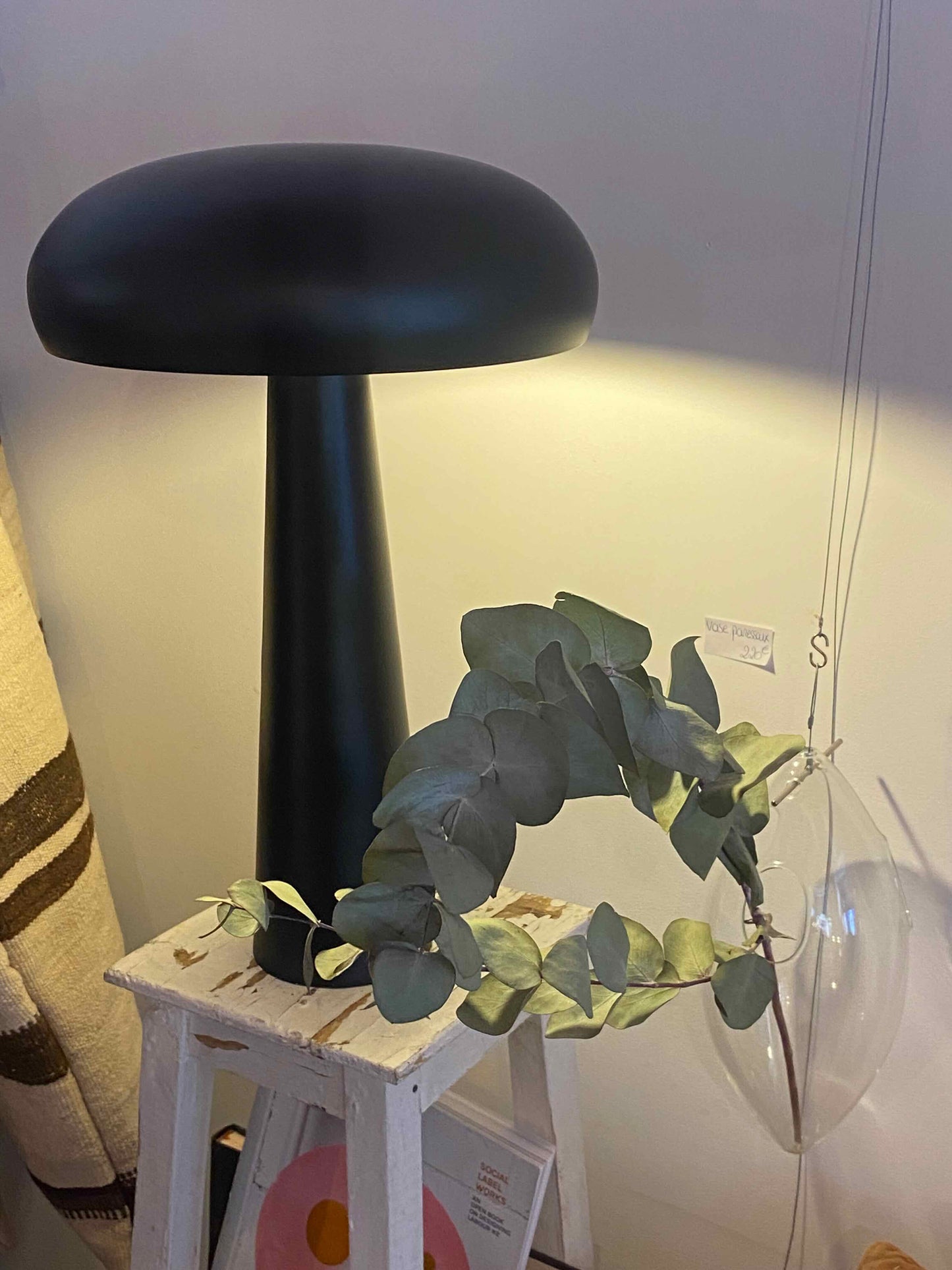 La lampe Fungi Noire