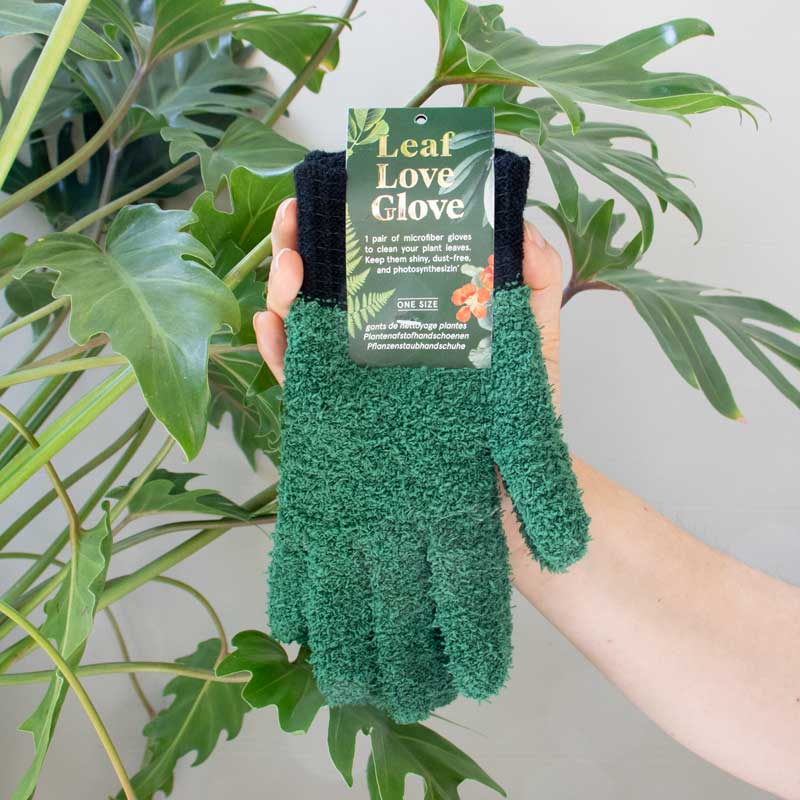 Les Gants Mains Vertes Les Choses qu'on Aime 6