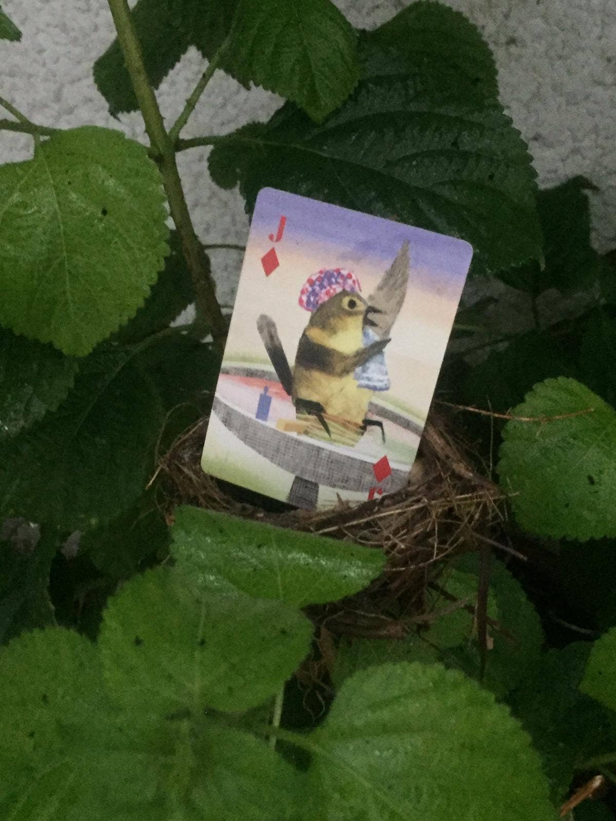 Le Jeu de cartes Oiseaux design Les Choses qu'on Aime