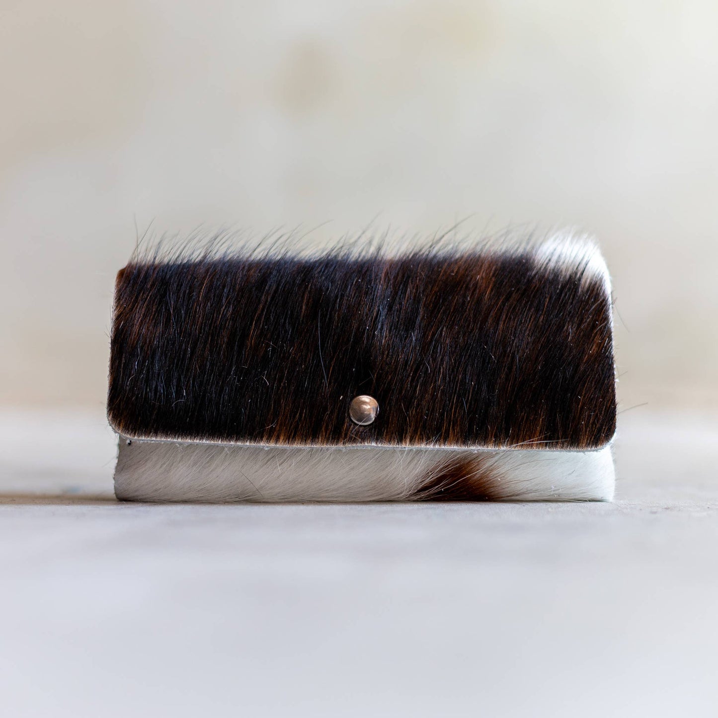 Étui à lunettes magnétique | 11 variantes