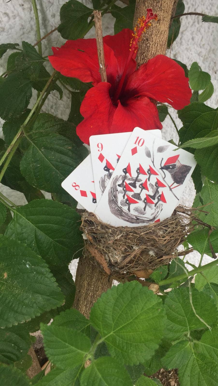 Le Jeu de cartes Oiseaux onirique Les Choses qu'on Aime